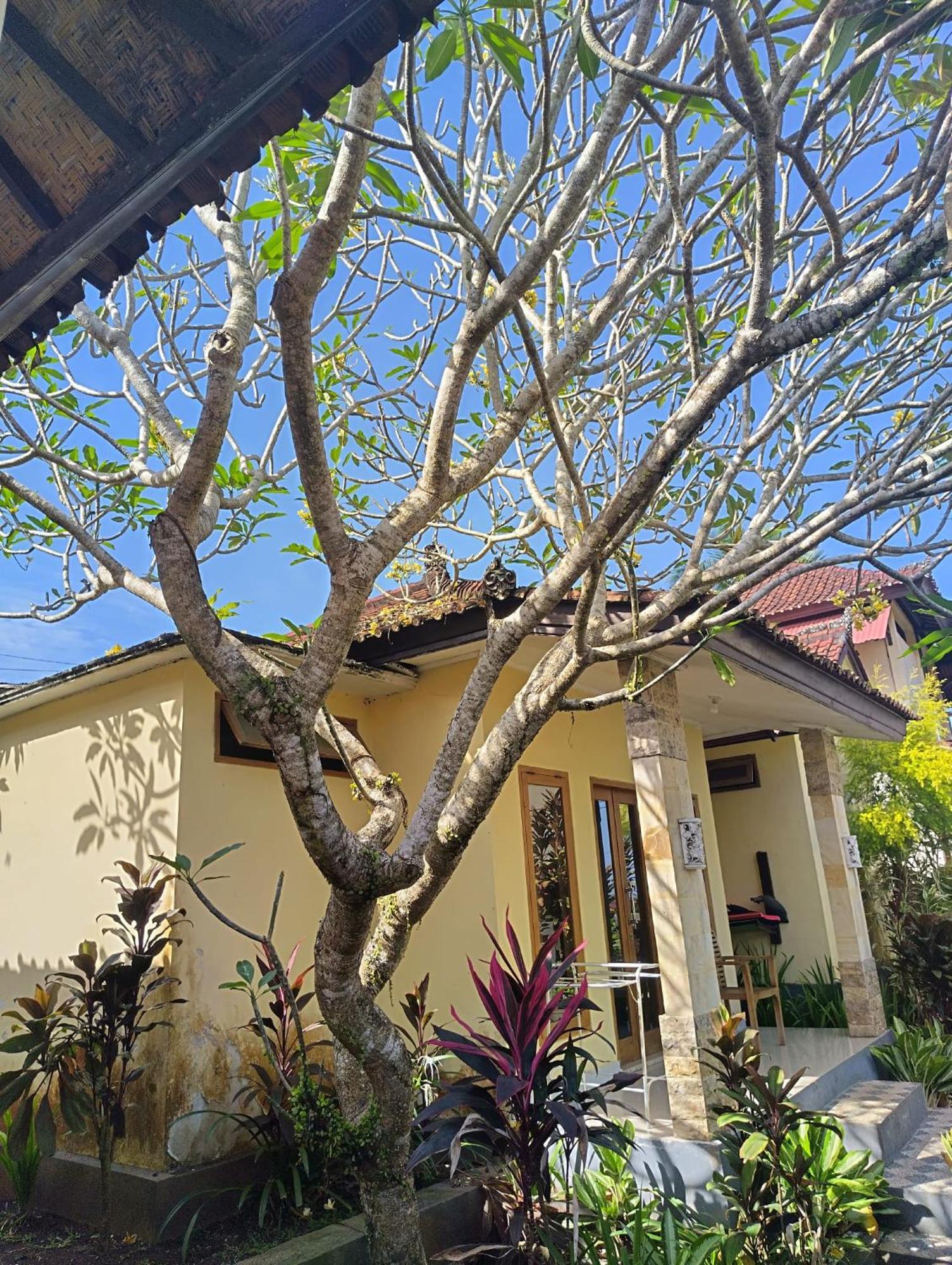 Kirra'S Beach House Pulukan Zewnętrze zdjęcie
